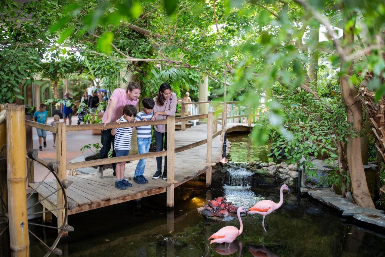 Center Parcs Port Zelande Beach 우도르프 외부 사진